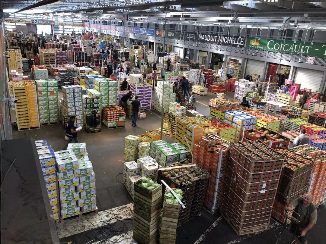 河北新發(fā)地集團董事長米亞林赴歐洲考察農產(chǎn)品市場發(fā)展新模式